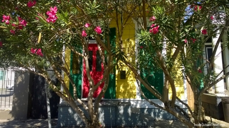 nola-colorful-house-with-oleander